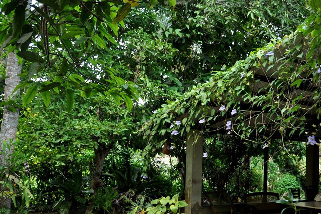 Green Corridor - Ahangama Exterior photo
